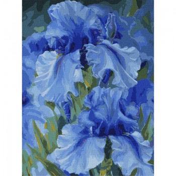 Картина по номерам 