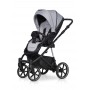 Коляска 2 в 1 Riko Side 01 Grey Fox