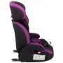 Автокресло Bair Beta Iso-fix 1/2/3 (9-36 кг) DBI1824 черный - фиолетовый