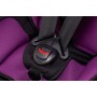 Автокресло Bair Beta Iso-fix 1/2/3 (9-36 кг) DBI1824 черный - фиолетовый