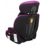 Автокресло Bair Beta 1/2/3 (9-36 кг) DB1824 черный - фиолетовый