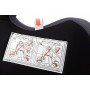 Автокресло Bair Beta 1/2/3 (9-36 кг) DB2423 черный - серый