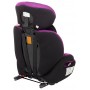 Автокресло Bair Beta Iso-fix 1/2/3 (9-36 кг) DBI1824 черный - фиолетовый