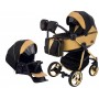 Коляска 2 в 1 Adamex Sierra Polar (Gold) SR436 черный (люрикс) - золотой кожа (перфорация)