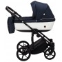 Коляска 2 в 1 Adamex Amelia Tip AM240