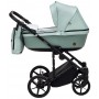 Коляска 2 в 1 Adamex Amelia Tip AM260