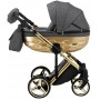 Коляска 2 в 1 Adamex Chantal Star Polar (Gold) Star 1