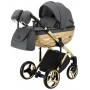 Коляска 2 в 1 Adamex Chantal Star Polar (Gold) Star 1