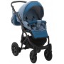 Коляска 2 в 1 Adamex Erika BR236
