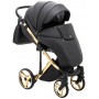 Коляска 2 в 1 Adamex Chantal Polar (Gold) кожа 100% C110 черный