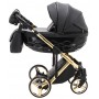 Коляска 2 в 1 Adamex Chantal Polar (Gold) кожа 100% C110 черный