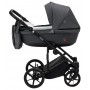 Коляска 2 в 1 Adamex Amelia Tip AM246