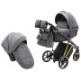 Коляска 2 в 1 Adamex Belissa Special Edidion (Gold) PS-608 графит - графит кожа (перфорация)
