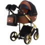 Коляска 2 в 1 Adamex Luciano Polar (Gold) Y800 коричневий (шкіра) - чорний