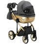 Коляска 2 в 1 Adamex Chantal Star Polar (Gold) Star 1