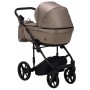 Коляска 2 в 1 Adamex Amelia Tip AM232