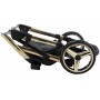 Коляска 2 в 1 Adamex Chantal Star Polar (Gold) кожа 100% Star 124