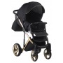 Коляска 2 в 1 Adamex Chantal Polar (Gold) C1-A чорний