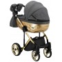 Коляска 2 в 1 Adamex Chantal Star Polar (Gold) Star 1