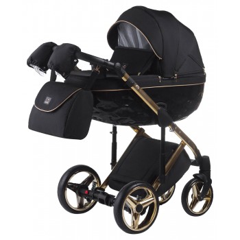 Коляска 2 в 1 Adamex Chantal Polar (Gold) C1-A чорний