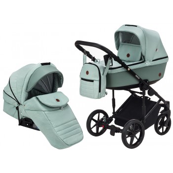 Коляска 2 в 1 Adamex Amelia Tip AM260