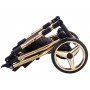 Коляска 2 в 1 Adamex Sierra Polar (Gold) SR436 черный (люрикс) - золотой кожа (перфорация)