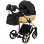 Коляска 2 в 1 Adamex Chantal Star Polar (Gold) Star 13