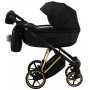 Коляска 2 в 1 Adamex Belissa Special Edidion (Gold) PS-569 Чорний - Чорна шкіра (перфорація)